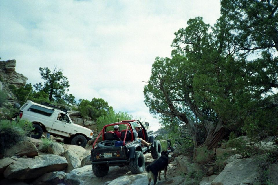 White Bronco and black open 4x4 with people and a dog on a rocky canyon trail