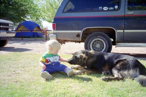 1982 Ford Customline - A child and dog interact near a van at a campsite with a tent.