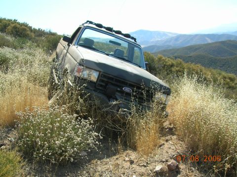 1985 Ford Bronco - This 1985 Ford Bronco is partially obscured by dry grass on a steep, dusty hillside.
