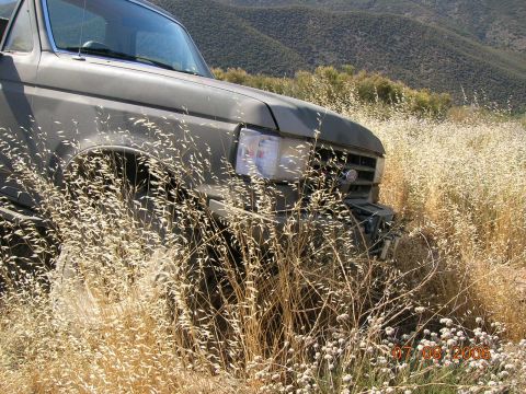 1985 Ford Bronco - The front corner of a dark gray 1987 Ford Bronco is visible, partially hidden by tall, dry grass in a rural landscape.