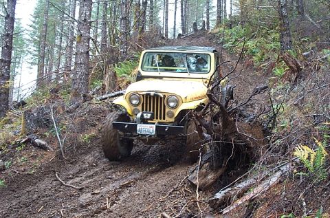 1982 Ford Customline - Downhill in the mud, very slipery.