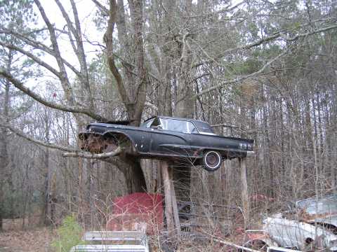1972 Ford Ranchero - A 1959 Ford Fairlane 500 Skyliner is lodged in a tree, with other vehicle parts scattered around.
