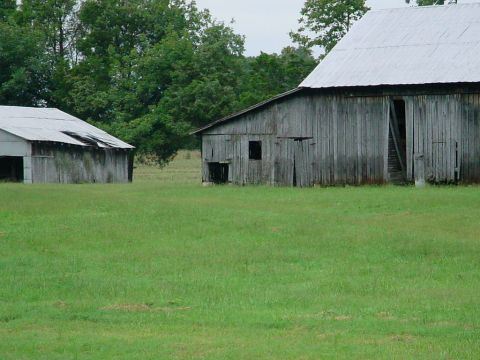 1972 Ford Ranchero - Two rustic, weathered barns stand in a lush green field, suggesting a rural setting.