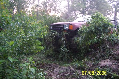 1984 Toyota 4Runner