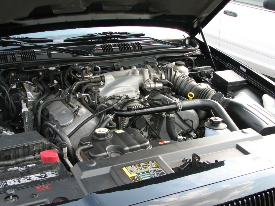 V8 engine bay with intake, air tube and a battery marked 836, hood raised
