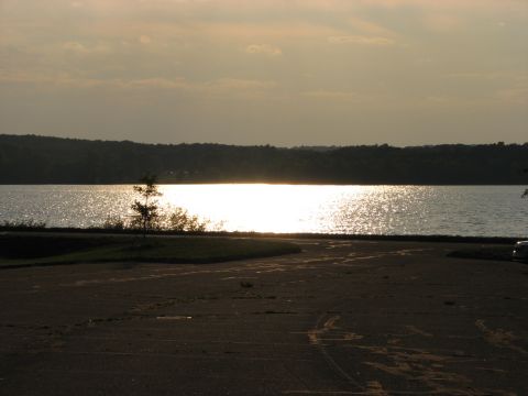 2003 Ford Crown Victoria - A sunset over a body of water, with a lone tree silhouetted against the shimmering light.