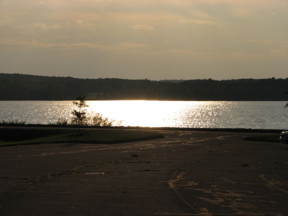 Water reflecting sunlight at sunset with a tree and a parking lot