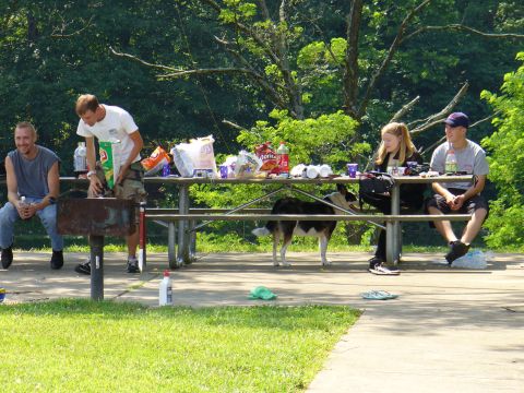 1991 Ford Probe - A group enjoys a picnic in a park setting, with a dog present at the table.