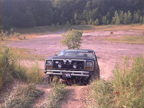 1986 Ford Bronco - This black SUV, likely from the early 1980s, navigates a dirt track surrounded by vegetation.