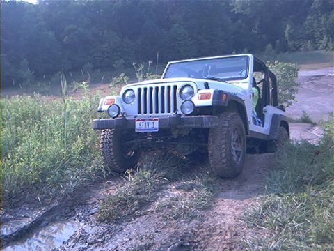 1986 Ford Bronco - Jeep Wrangler navigating a muddy trail, surrounded by lush green foliage and trees.