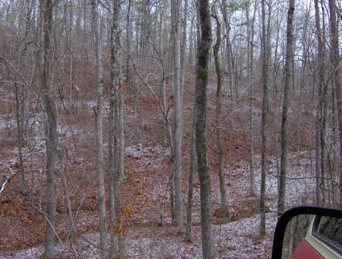 1978 Ford Bronco - A view of a wooded area with fallen leaves and patches of snow on the ground.