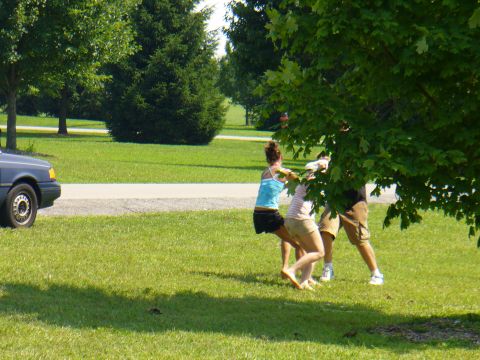 1991 Ford Probe - A dark blue sedan is parked on the side of a road, with a group of people gathered nearby under a tree.