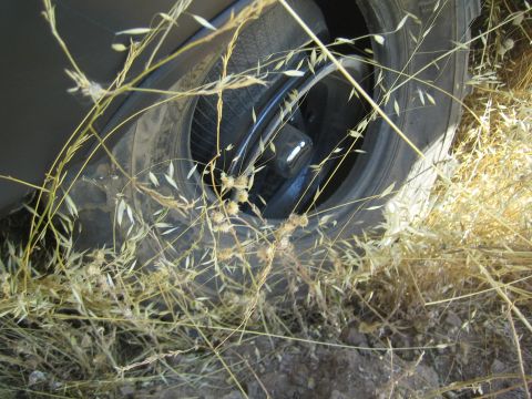 1990 Ford Bronco - Close-up of a truck's off-road tire and wheel sunk into tall dry grass and dirt off the trail.