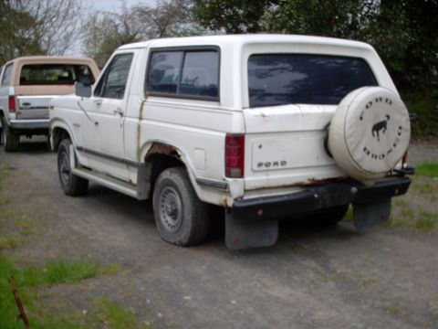1986 Ford Bronco photo