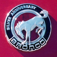 1991 Ford Bronco photo
