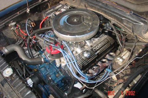 1977 Ford Mustang II - Close-up view of a V8 engine bay, "COBRA" valve covers and blue spark plug wires.