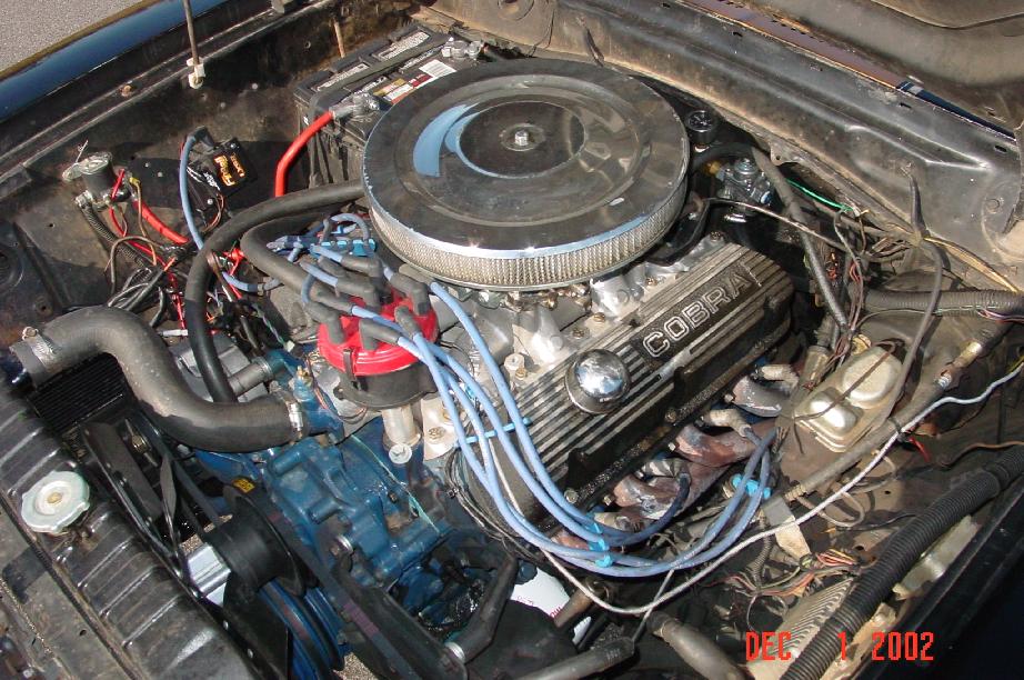 V8 engine with black COBRA valve covers, chrome air cleaner and blue plug wires in engine bay