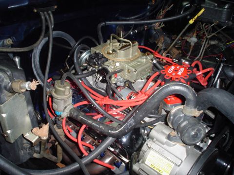 1984 Ford Bronco - Engine bay of a dark blue V8 truck photographed from above with the air cleaner removed, showing a gold-anodized four-barrel carburetor on…
