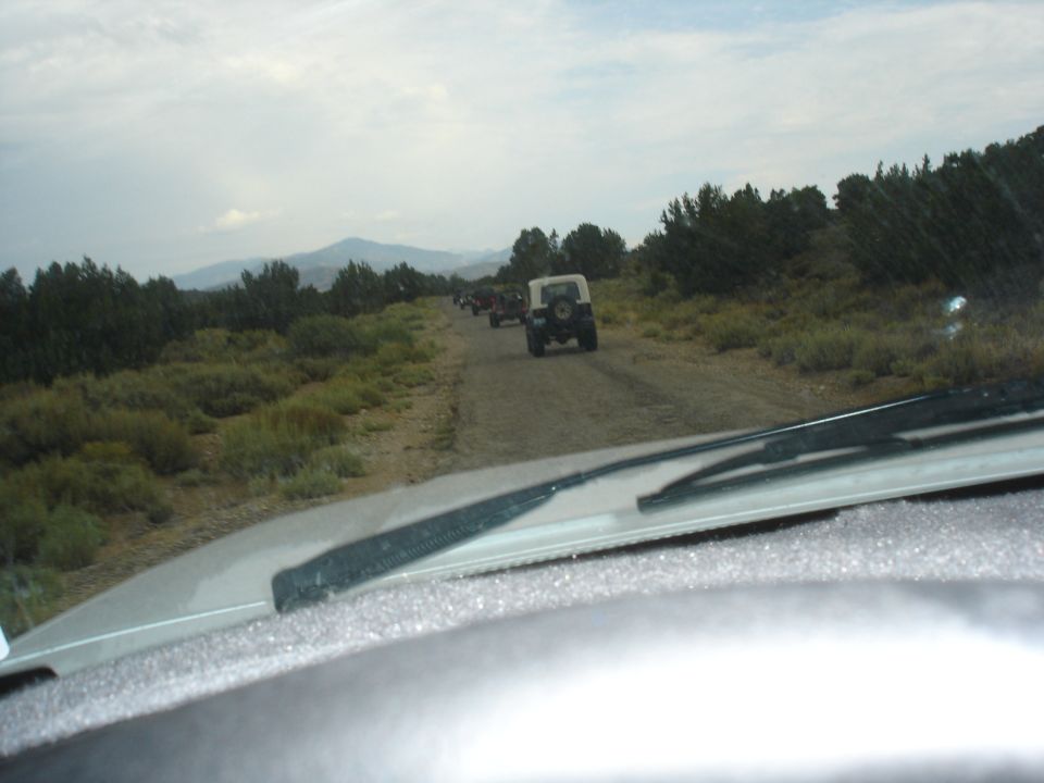 Several Jeeps drive down a dusty dirt road lined with brush and trees, with mountains in the distance