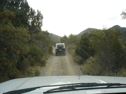 1996 Ford Bronco - A white Jeep Wrangler navigates a dusty, unpaved road through a wooded, mountainous landscape.