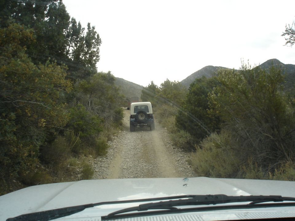 White Jeep Wrangler driving on a dirt road, seen from behind