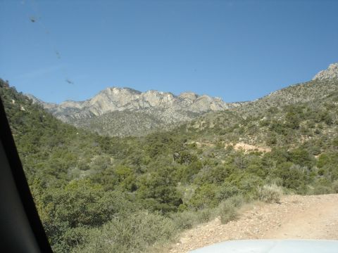 1996 Ford Bronco - View of a mountain landscape with trees and a dirt road, taken from inside a vehicle.