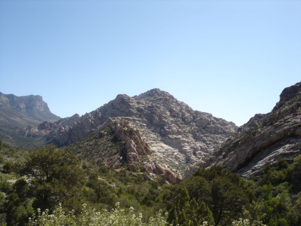 Rocky mountains under a clear blue sky with green trees in the foreground