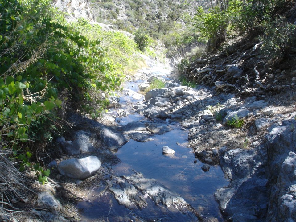 Rocky creek bed with sparse vegetation and dry hillsides