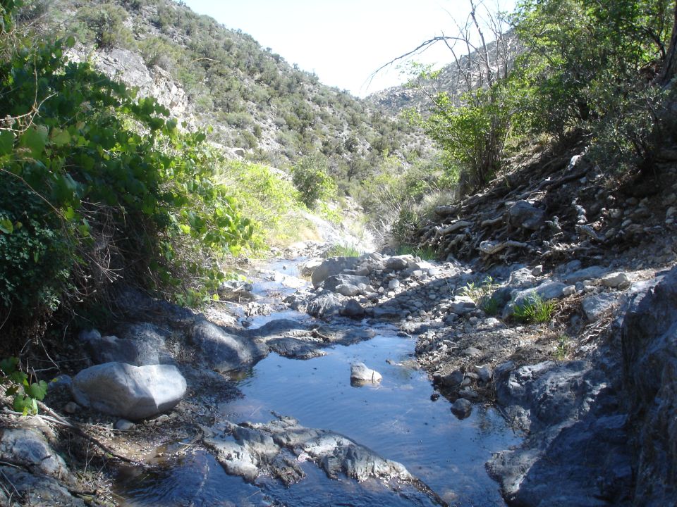 Dry creek bed with rocks and sparse vegetation
