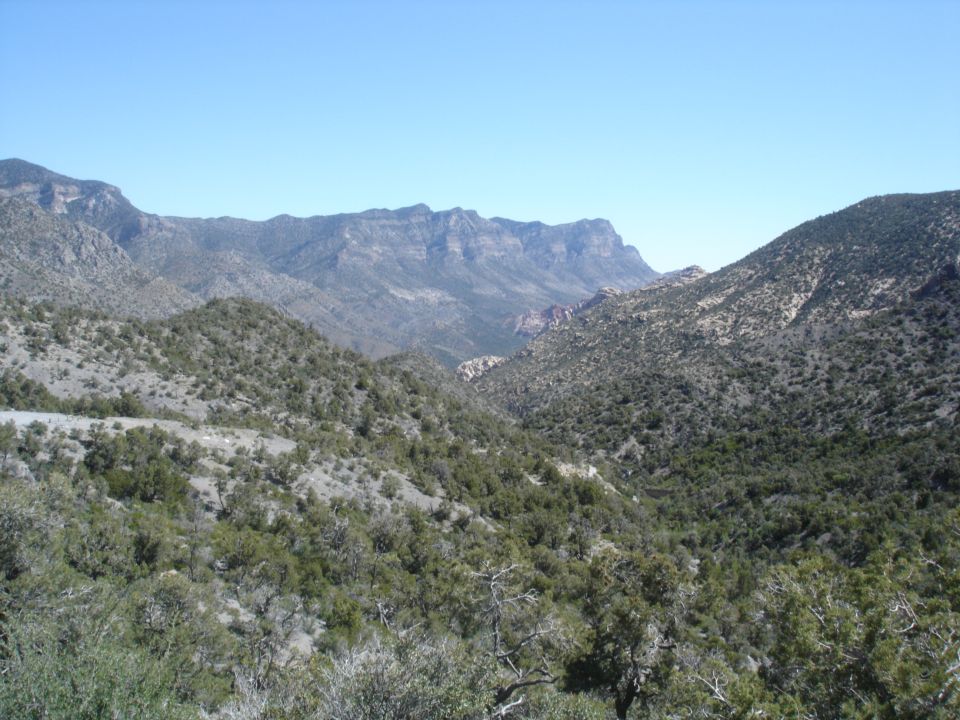 Mountain landscape with trees and a clear blue sky