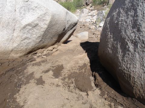 1984 Ford Bronco - Tire tracks are visible in the mud between two large boulders in a dry creek bed.