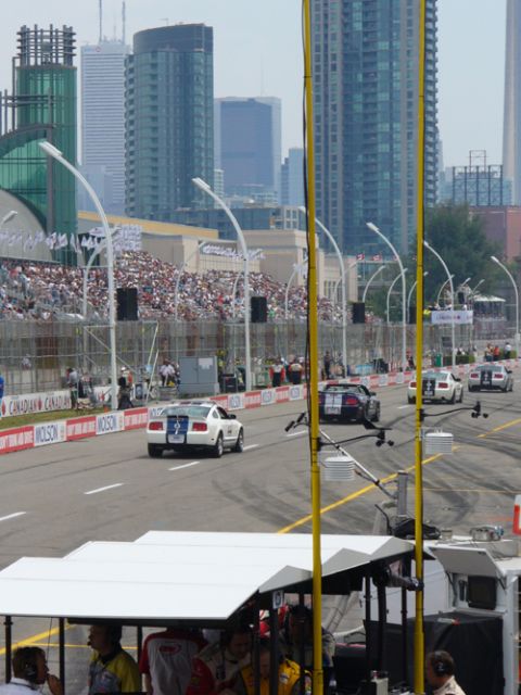 1995 Ford Taurus - Multiple Ford Mustangs compete on a race track, with a cityscape visible behind the grandstands.