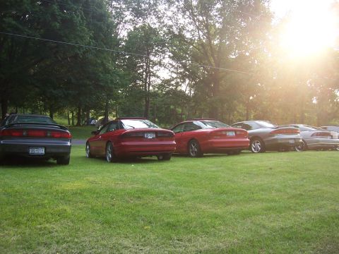 1996 Ford Probe - A lineup of Ford Probes, including a dark gray 1996 model and several red and silver examples, are parked on a grassy field during a meet.