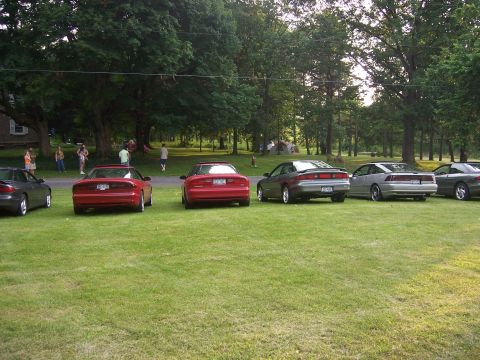 1996 Ford Probe - A line of Ford Probes are parked on a grassy area with trees and people in the background.