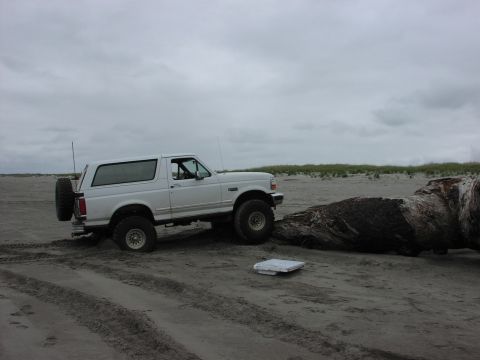1996 Ford Bronco - Suspension flexing on log. It's a no show without front locker. (by The Heyer's, 5/20/2006)