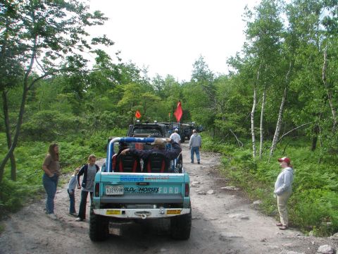 1992 Ford Bronco - A line of off-road vehicles, including a teal Ford Bronco, drive down a wooded dirt path.