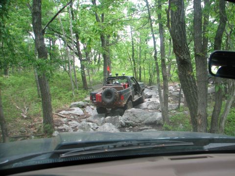 1992 Ford Bronco - This 1992 Ford Bronco is tackling a challenging off-road trail through a dense forest.