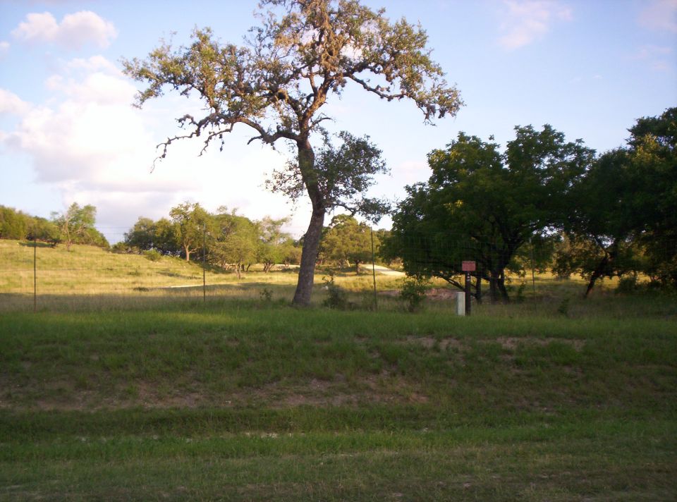 Rural landscape with trees and a signpost