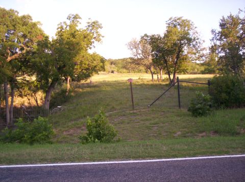 1986 Ford Bronco - A view of a rural landscape trees, a grassy field, and a fence line under a bright sky.