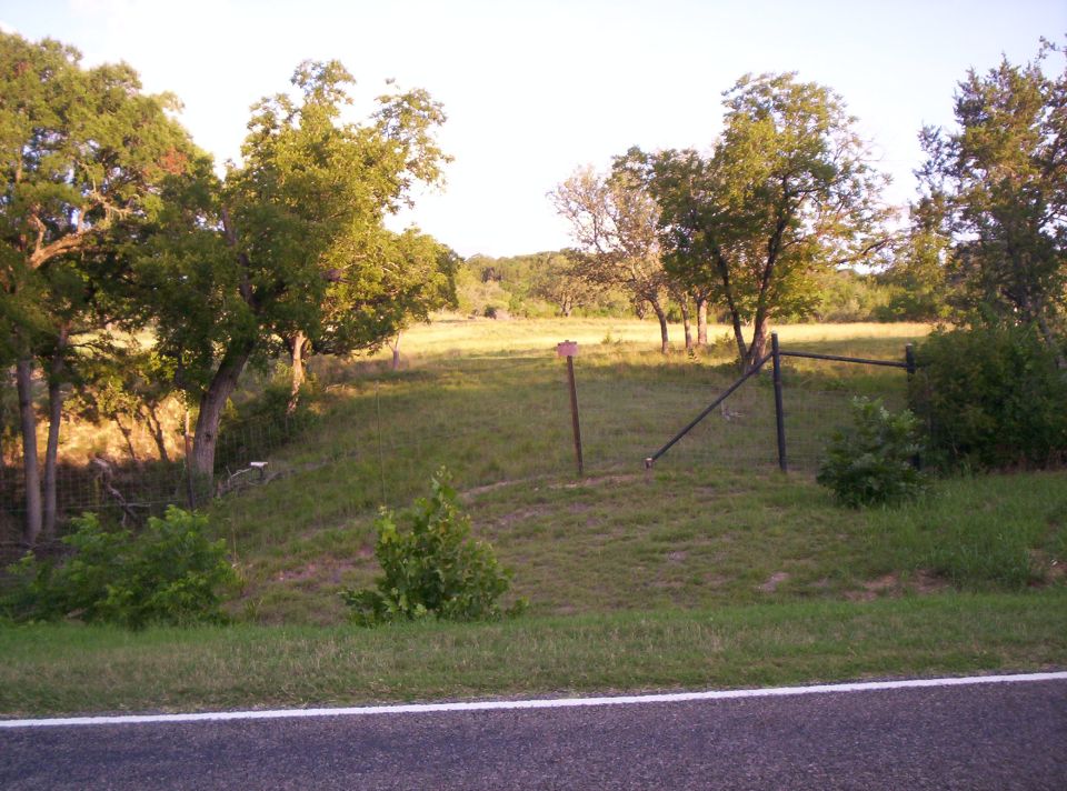 Rural landscape with trees, grass, a fence, and a road in the foreground