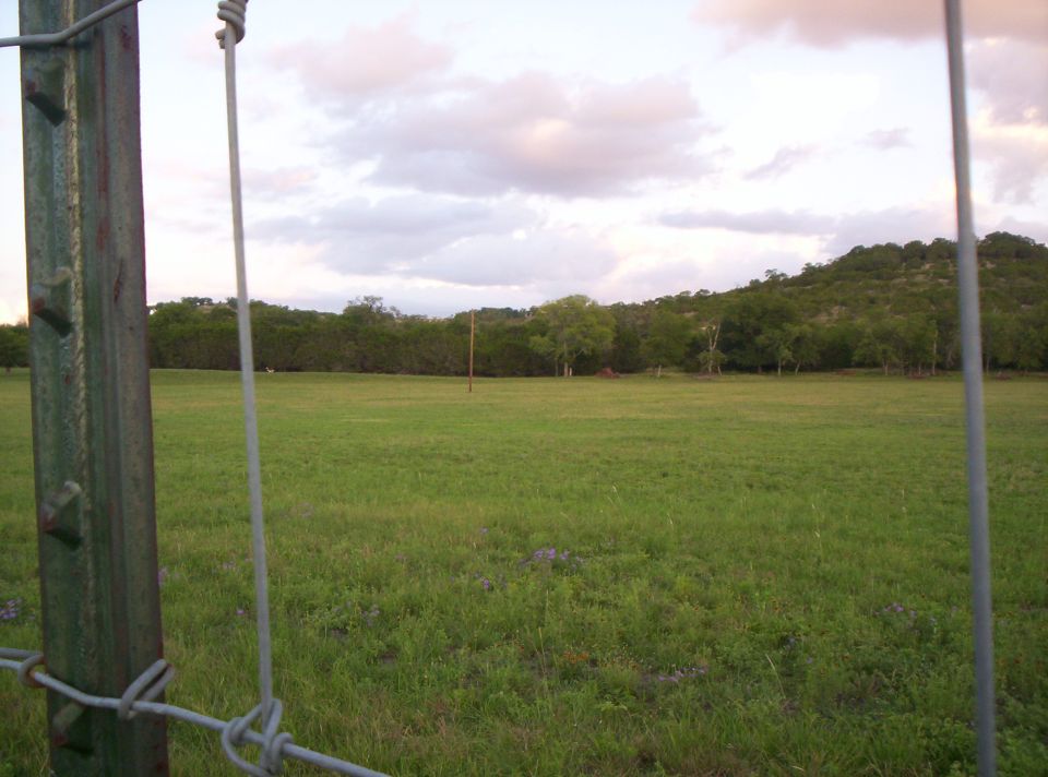 Fence post and wire in foreground, grassy field, trees, and hill under cloudy sky