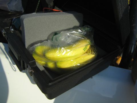 1990 Ford Bronco - bunch of yellow bananas in a plastic produce bag rests inside a black foam-lined hard-shell case or cooler.