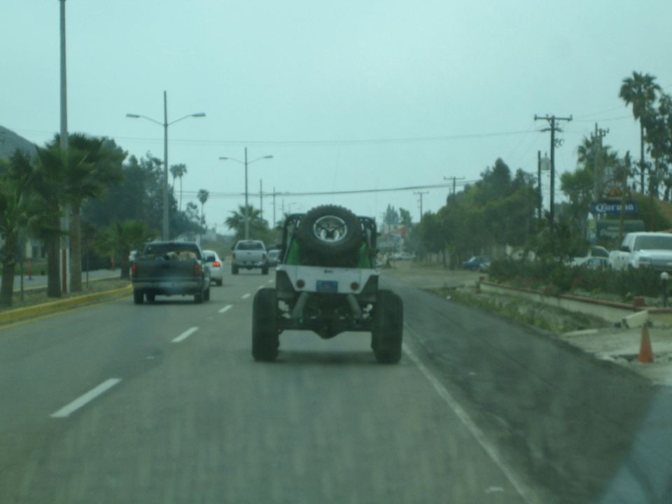 Rear view from inside a car of a silver tube-chassis rock buggy with spare tire driving down a palm-lined road