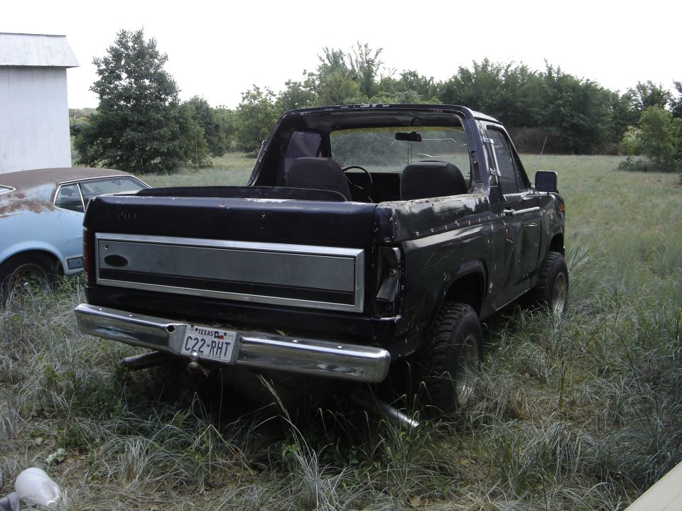Rear of black topless 1980s Ford Bronco in tall grass, Texas plate C22-RHT