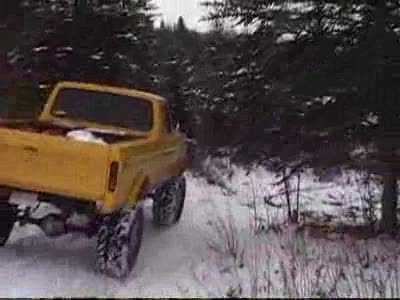 1979 Ford F-250