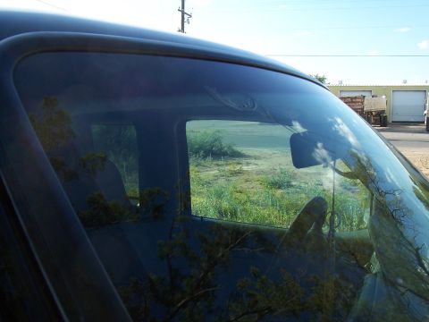 2003 Ford Ranger - Looking out from the driver's seat, the exterior landscape is reflected in the windshield.