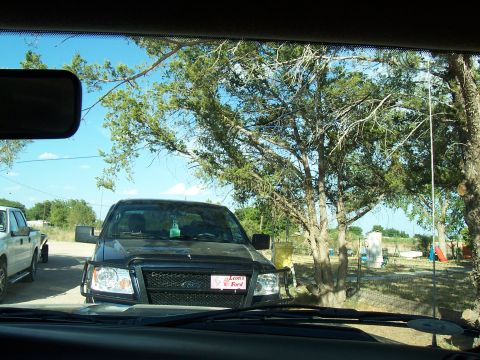 2003 Ford Ranger - A black Ford F-150 pickup truck is parked outside under trees, with another white truck visible to the left.