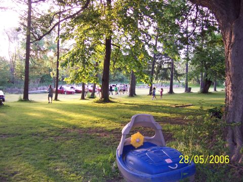 1996 Ford Probe - An outdoor gathering with several cars parked in a grassy area on a sunny day, with people milling around.