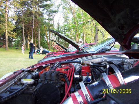 1996 Ford Probe - Cars gathered outdoors with hoods open, showing engine details and people mingling in the background.