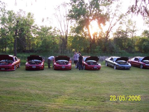 1996 Ford Probe - A group of Ford Probe cars are gathered outdoors, with their hoods open, on a sunny day.